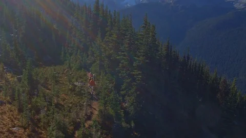 Fly Over Mountain Trees Pan Up to Dramatic Glacier Range 動画素材 82325152