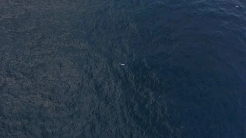 Fly over ocean water surface, loopable. Great background for movie credits or Stock Footage 85704643