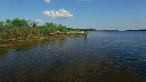 Fly over old tree trunk on the river Video stock 88001862