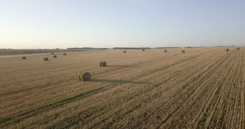 FLY OVER OVER THE FIELD Stock Footage 150434772