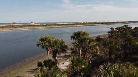 Fly over palm trees to ocean and beach Stock Footage 312026192