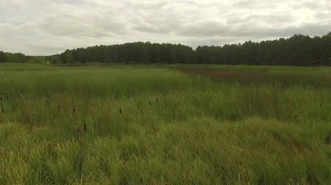 Fly over the pond with clouds reflected on the water. Video stock 63651292