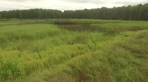 Fly over the pond with clouds reflected on the water. Video stock 63655515