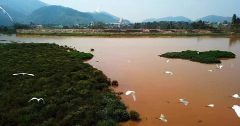 Fly over pond Stock Footage 88223569