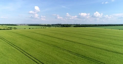 Fly over rape field Video stock 90567258