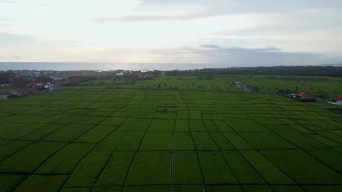 Fly over rice fields in Bali Stock Footage 152093337