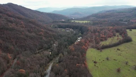 Fly Over Rive rForest Cabin Road 動画素材 225705252