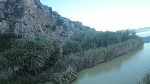 Fly over river and Palms and seaside Stock Footage 280049479