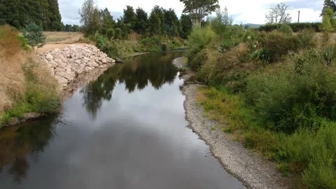 Fly over River with Native Wetlands Drone Stock Footage 198818620