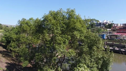 Fly over a river surrouned by trees and trails Video stock 101635312
