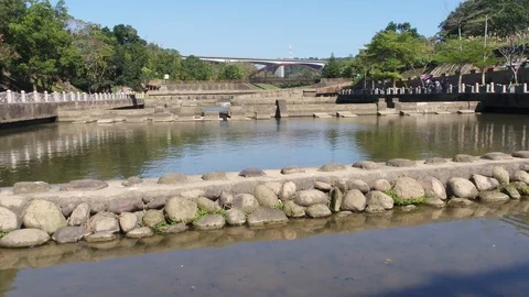 Fly over a river surrouned by trees and trails Video stock 101639742