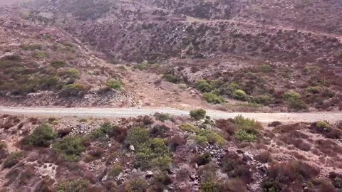 Fly over a road cutting through coastal shrub Stock-Footage 138726995