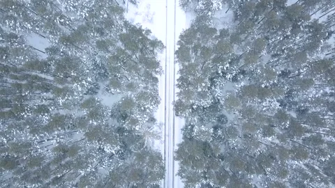 Fly over the road in the forest in winter2 Stock Footage 88323859