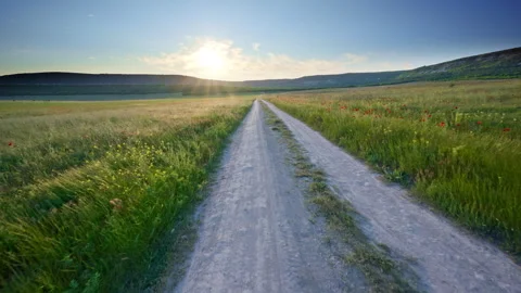 Fly over the road lane in spring meadow at the sunset.  库存影片 310021649