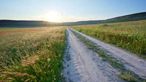Fly over the road lane in spring meadow at the sunset. Vídeos de archivo 310021840