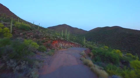 Fly over saguaro catcus over dirt road.mp4 Stock Footage 54259600