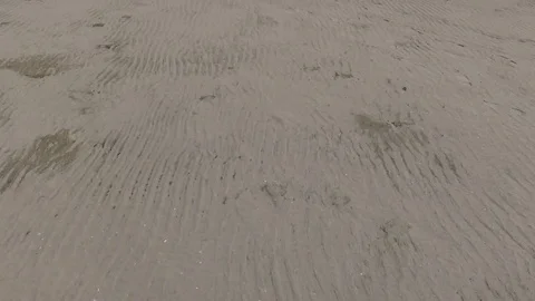 Fly Over Sandy Shore. Stock Footage 74312523