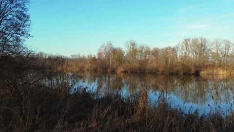 Fly over shore on lake close to ground 库存影片 150263702