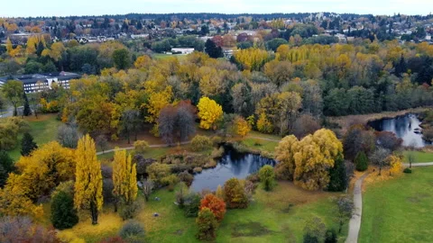 Fly over small lake in the park with yellow, red and green trees in Canada Stock Footage 142911860