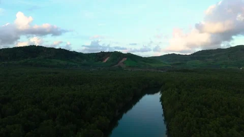 Fly over small river and mangrove forest at Phang Nga bay, Thailand Stock-Footage 333286318