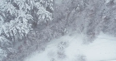 Fly over snowy forest during snowfall Stock Footage 83582994
