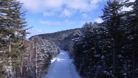 Fly Over Snowy Forest Road Video stock 72999870