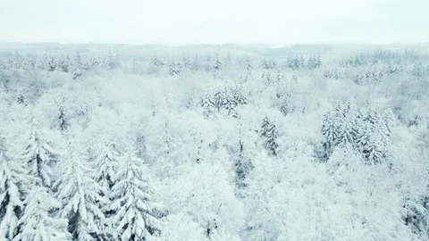 Fly Over Snowy Forrest Fog Aerial 4K Cinematic landscape Vídeo Stock 166239853