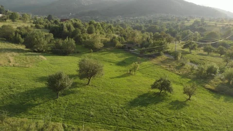 Fly over some orchards and meadows in summer. In the background you can see Stock Footage 129936092