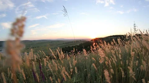Fly over the spikes at sunset Stock Footage 52979471