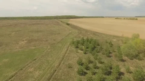 Fly over the spring field Low altitude 스톡 동영상 69125731