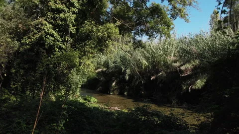 Fly over a stream 3 in italy 4K Stock Footage 230631978