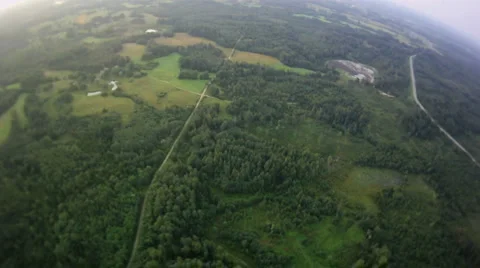 Fly over summer forest Vídeos de archivo 1031816