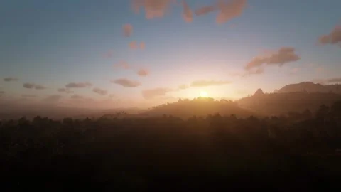 Fly over sunset sunrise forest trees Stock Footage 267319449