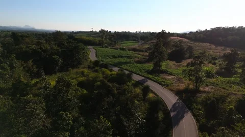 Fly over trees and road in north of Thailand Video stock 330833817