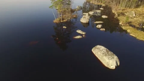 Fly over trees on a beautiful lake Stock Footage 165624288