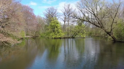 Fly over the trees with a beautiful view of the lake Stock Footage 153054221