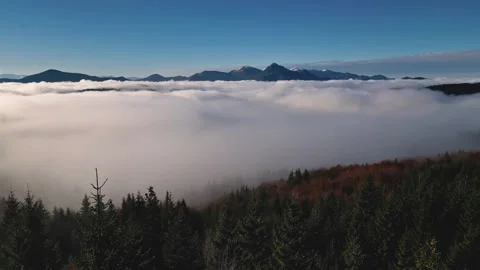 Fly over Trees with Beautiful view of Foggy Autumn Landscape Stock Footage 323115076