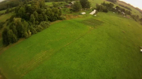 Fly over trees fish eye view Video stock 829190