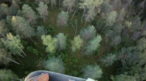 Fly over trees fish eye view Stock Footage 831756