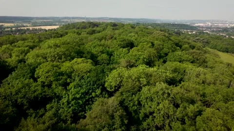 Fly Over Trees Stock Footage 318489393