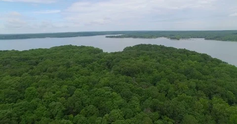 Fly over trees to lake 스톡 동영상 76718403