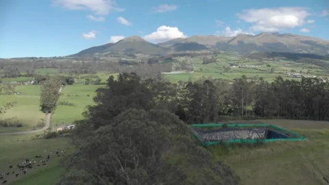 Fly over trees on a valley with animals Video stock 331066428