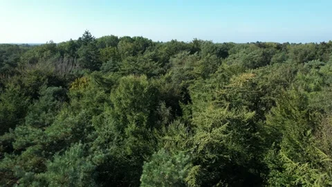 Fly over Treetops of Forest and Farmland, 4K Stock Footage 162634596
