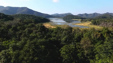 Fly over treetops at forest towards lake in north Thailand 動画素材 331187375
