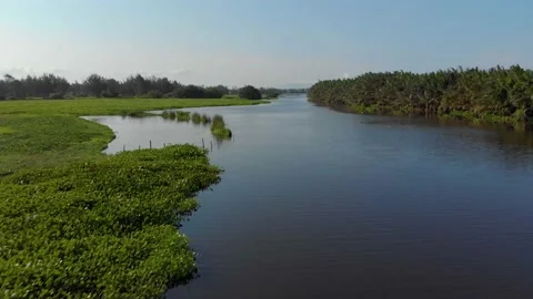 Fly over tropical river Stock Footage 137088387