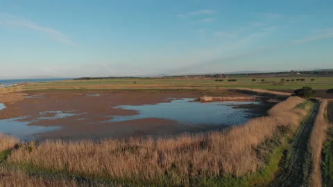 Fly over an uncultivated fields Stock-Footage 150913458