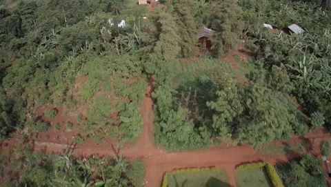 Fly Over Village in Uganda Stock Footage 329612084
