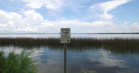 Fly-over "Watch for Alligators" Sign Stock Footage 70731849