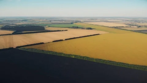 Fly over wheat fields and black earth Stock Footage 118160281