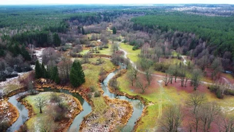 Fly over a winding river and green forest Stock Footage 163292509